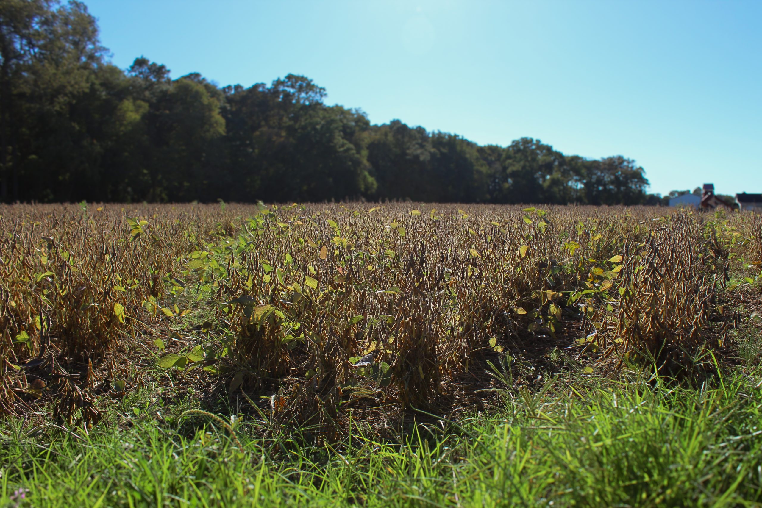 Delaware farmers feel increased strain from Iran war on fertilizer, fuel prices